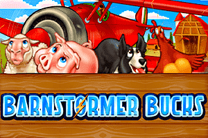 Barnstormer Bucks